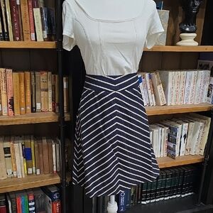 The Limited Navy and Cream A-Line Skirt, Size 8